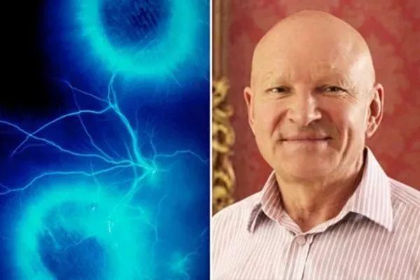 科學家證實揭開肉眼看不見的人體輝光之迷