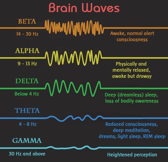 腦電波之謎困惑科學(xué)家百年 最新研究稱其很重要