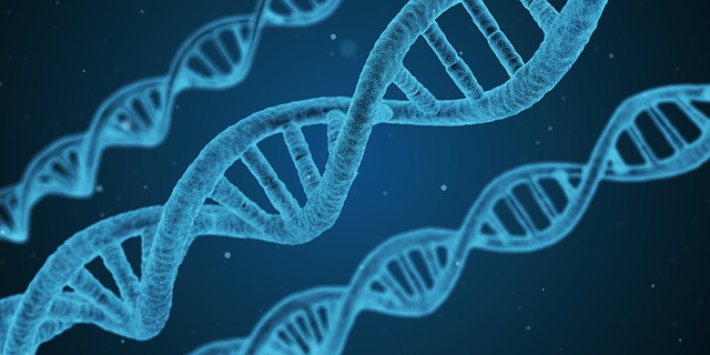 新CRISPR基因編輯技術(shù)可修復(fù)精子缺陷 完美嬰兒越來越近
