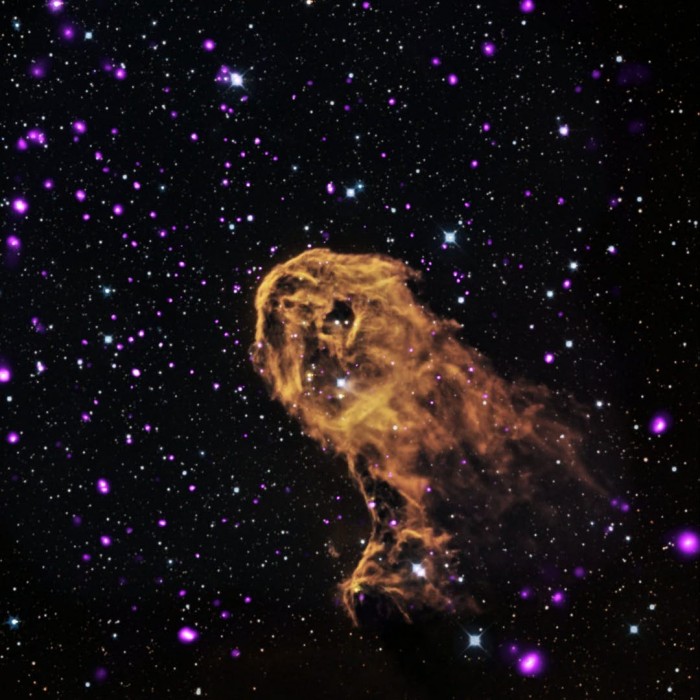 NASA實(shí)驗(yàn)顯示DNA糖或能在太空中漂浮
