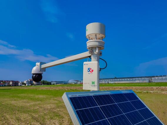 全國首個！上海電信5G助力打造全智能數(shù)字水稻種植示范區(qū)