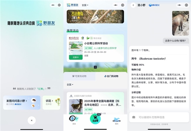 騰訊“野朋友計劃”聯(lián)合騰訊混元上線物種識別AI  用技術守護生物多樣性